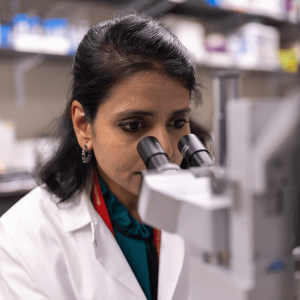 Researcher looking through a microscope.